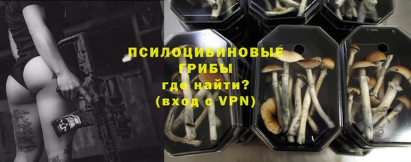 трава Белокуриха