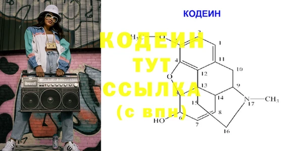 трава Белокуриха