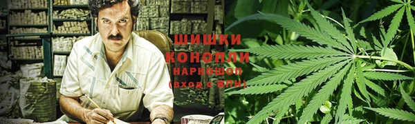 каннабис Беломорск