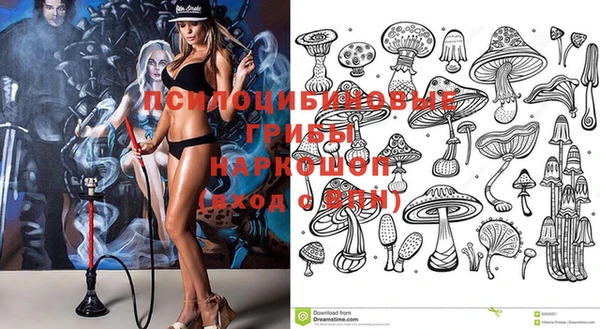 трава Белокуриха